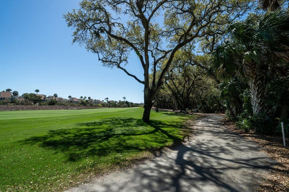 The 17th fairway!