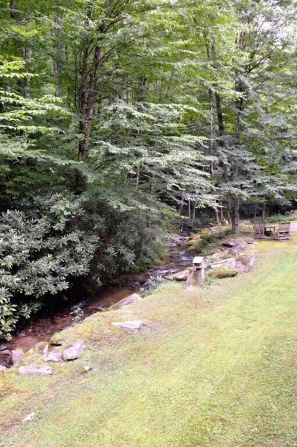 Bear Paw Falls, Creekview.JPG