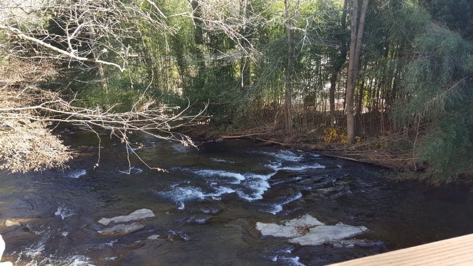Creek View