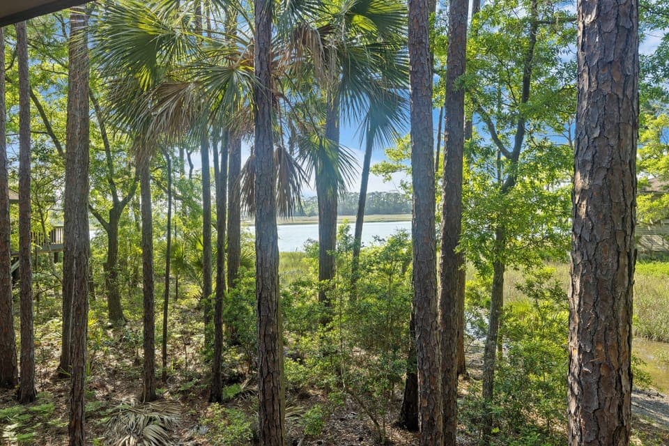 River Views