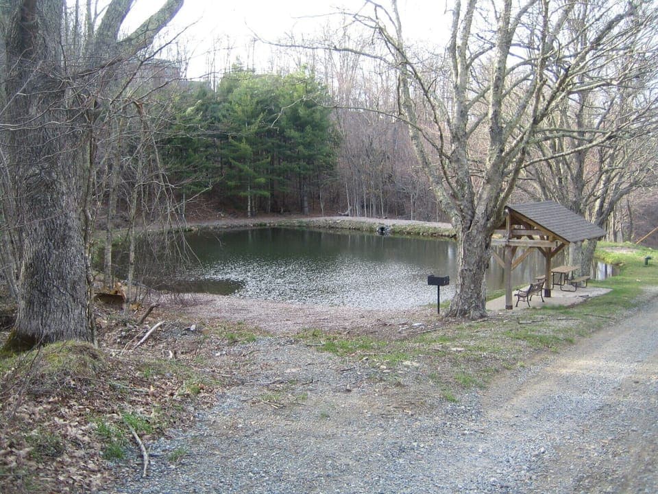 Pond