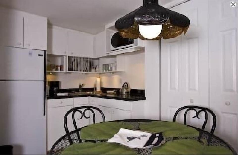Kitchen/dinette. Washer and dryer behind door.