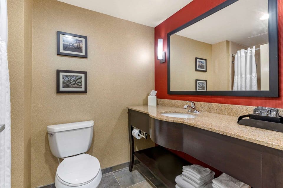 Combined shower/tub, free toiletries, hair dryer, towels