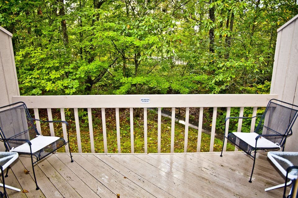 View from back deck