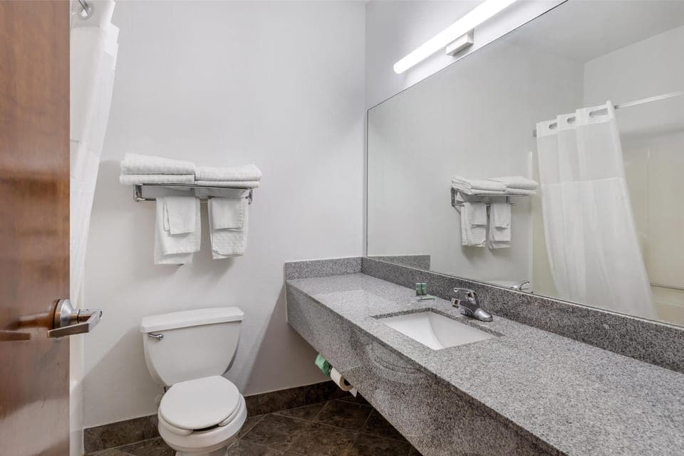 Suite, 1 King Bed, Non Smoking, Jetted Tub | Bathroom | Free toiletries, hair dryer, towels, soap