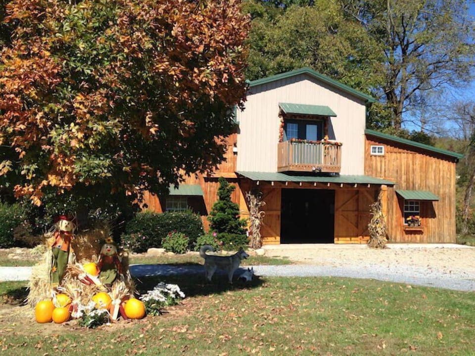 Front View Fall