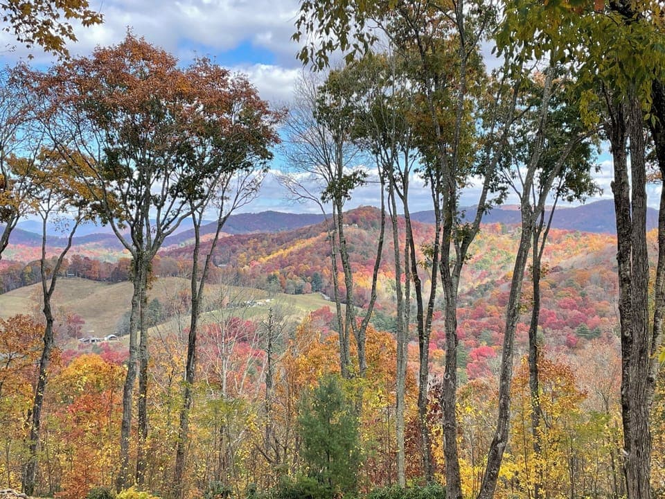 View from deck in the fall