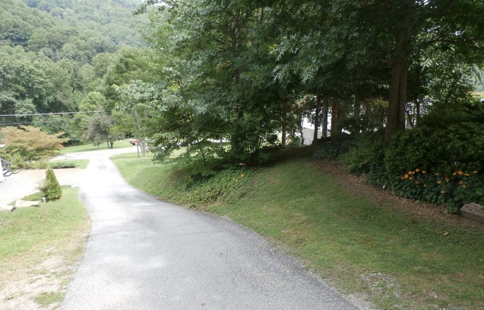 Driveway View