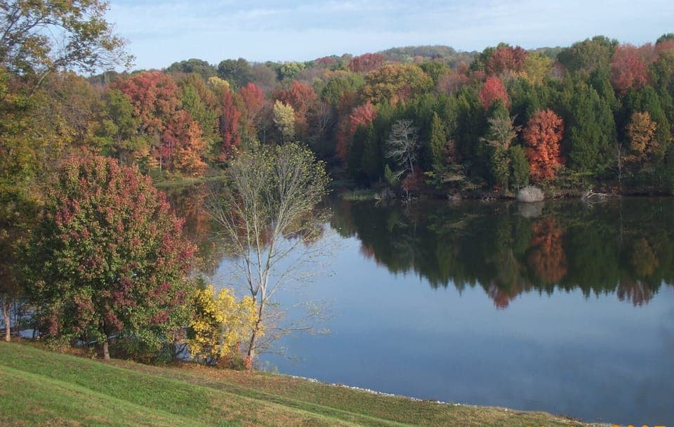 fall view from deck