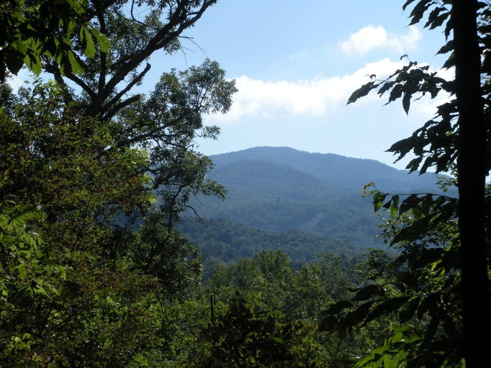 View from Porch