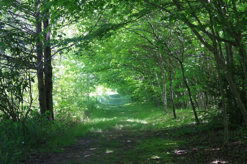 12 Nature Conservancy
