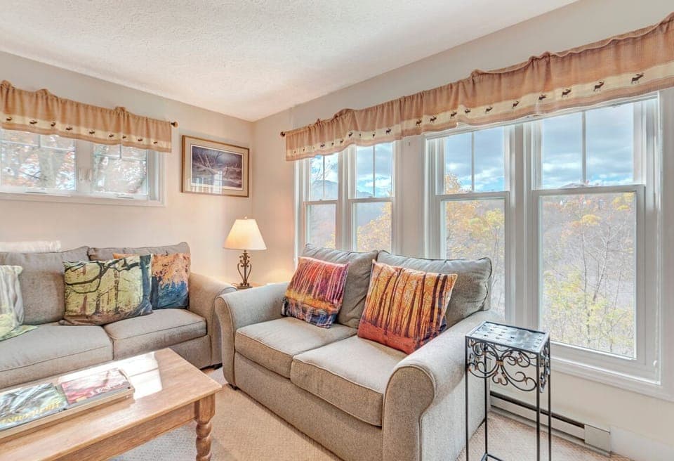Living Room--- Mountain View/Lots of Light