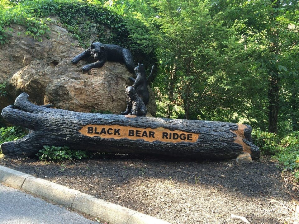 Black Bear Ridge Resort Main Entrance