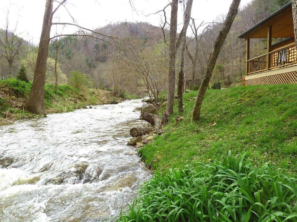 Spring Creek Trout Waters