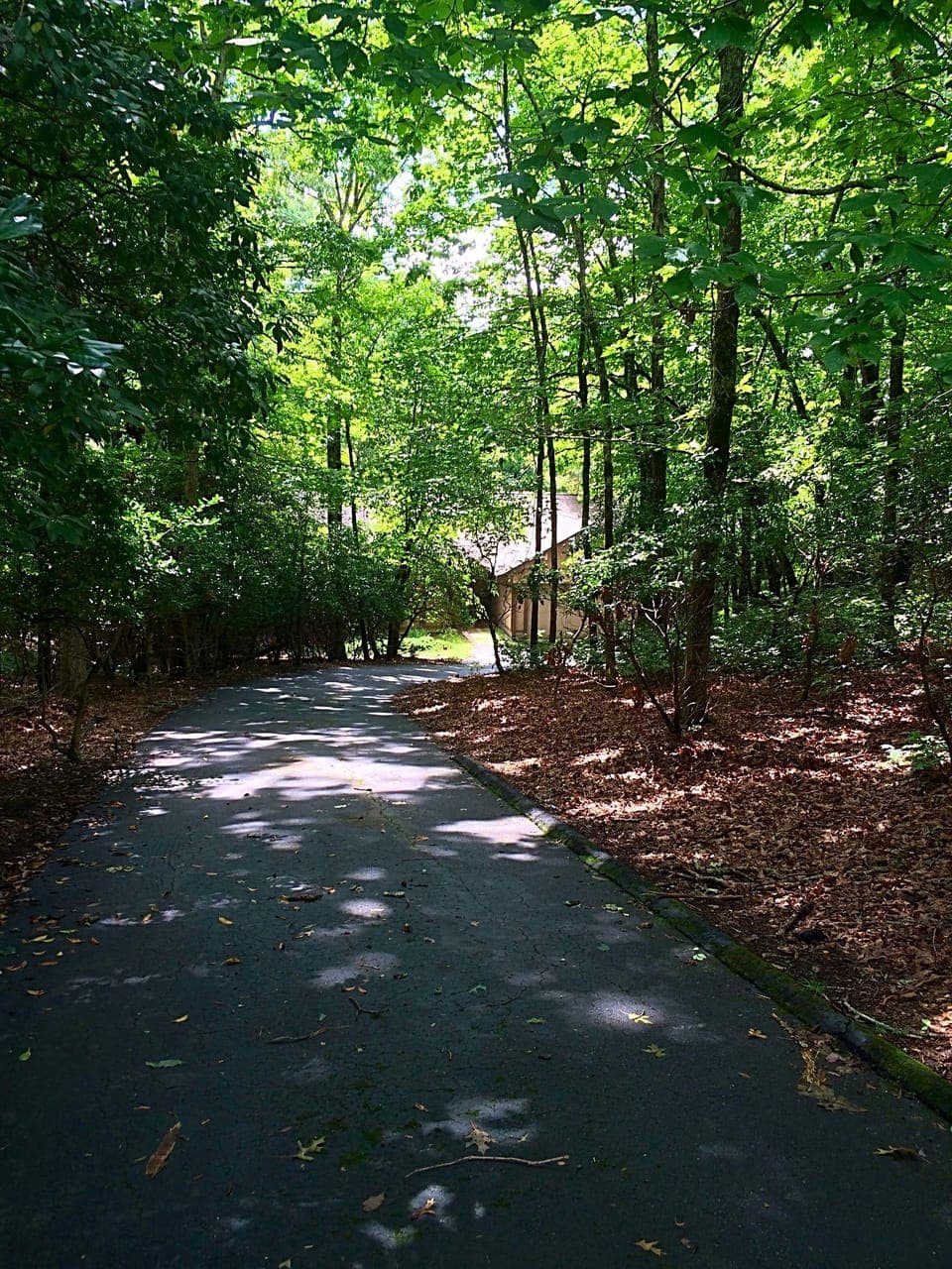 Entry Driveway