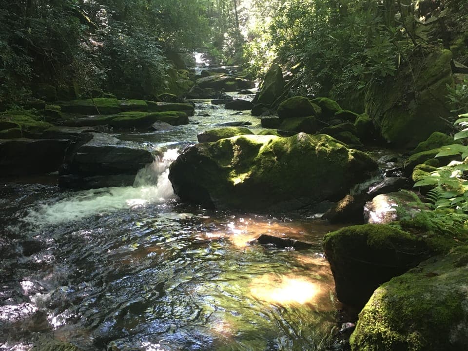 More of my photos of ConnesteeFalls hiking trails