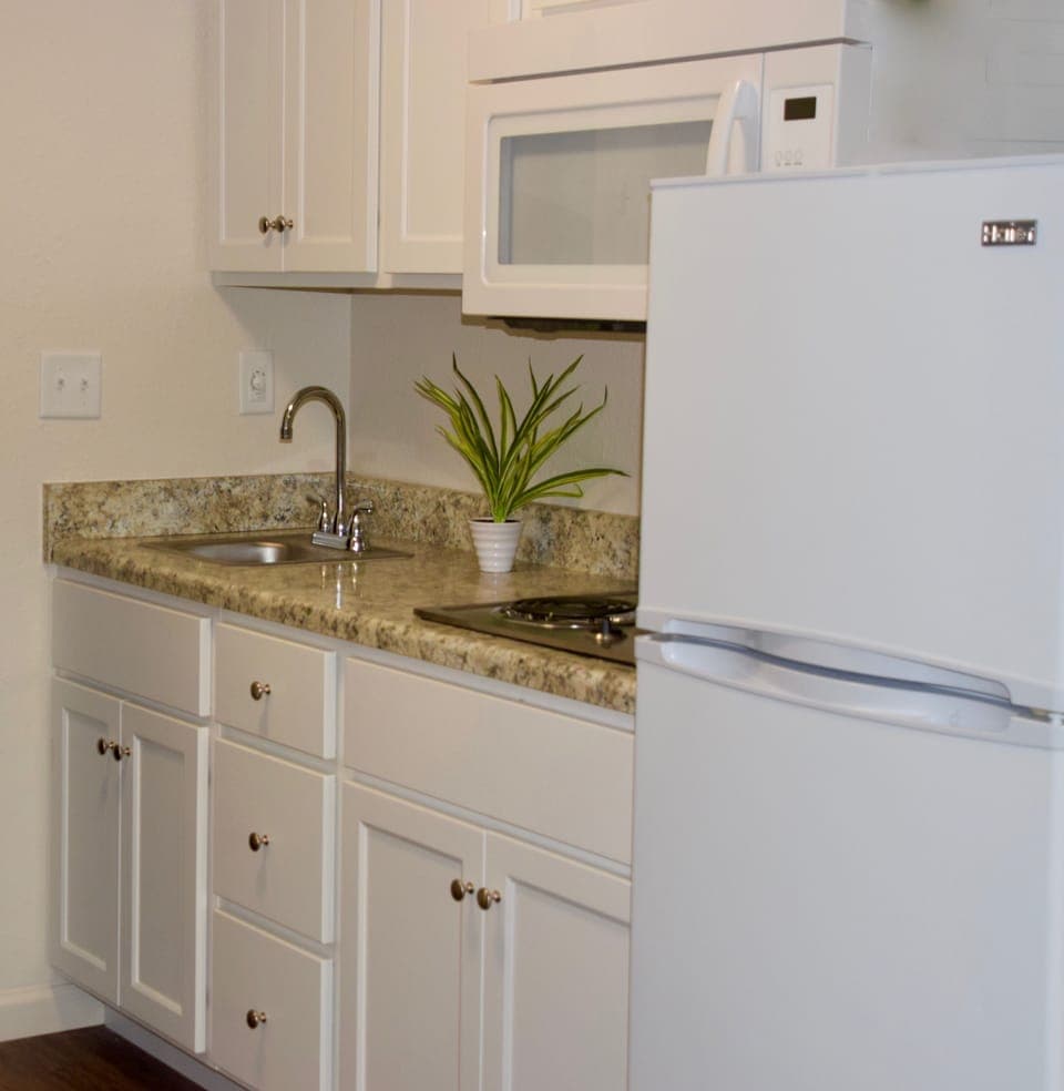Full-size fridge, stovetop, coffee/tea maker
