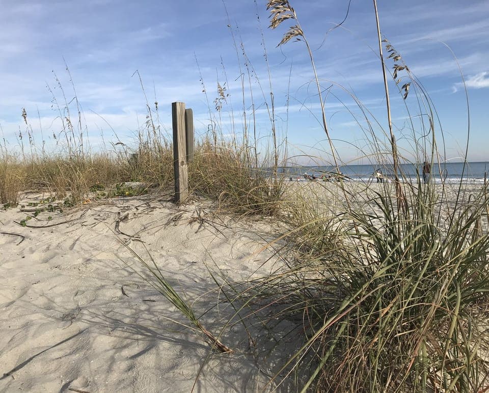 Beach