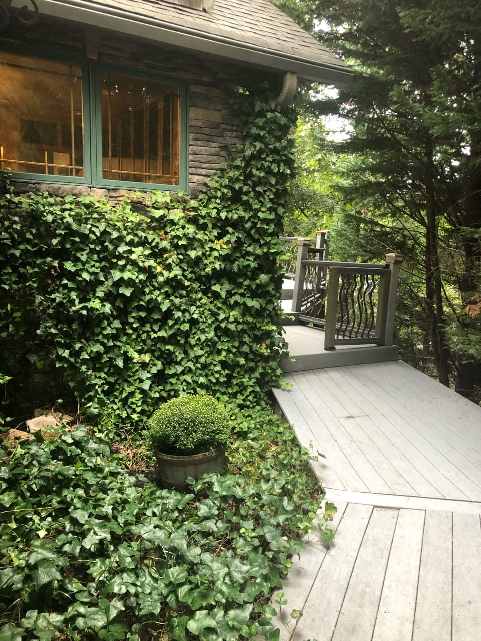 Pathway to entrance off carport 
