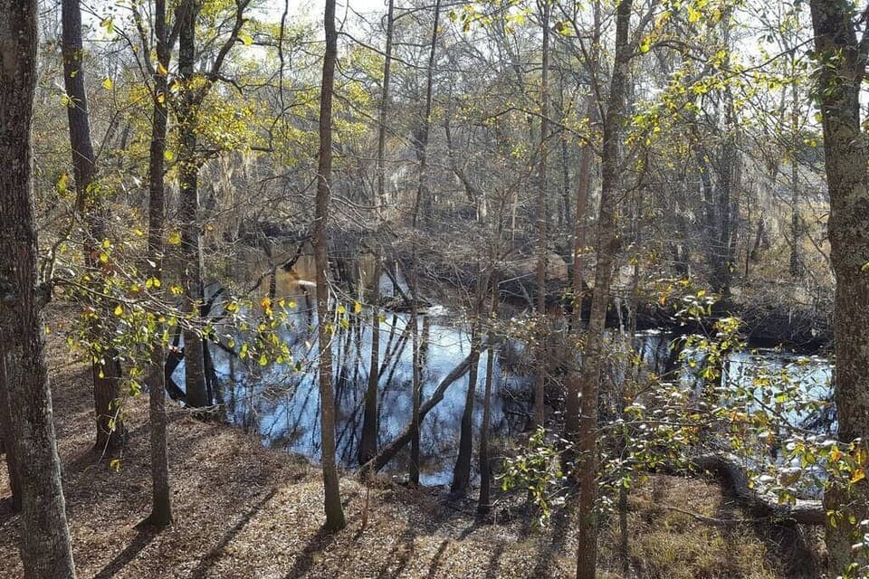 Nature is calling!