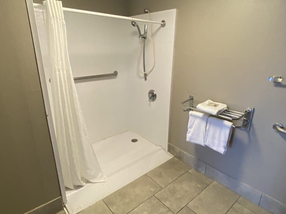Deluxe Room, 1 King Bed, Accessible, Non Smoking (Roll-in Shower) | Bathroom | Hair dryer, towels