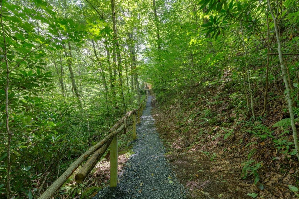 Path next to home that leads to creek.