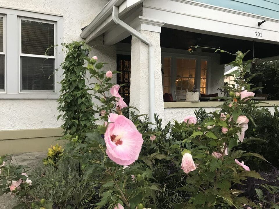 The Front Yard