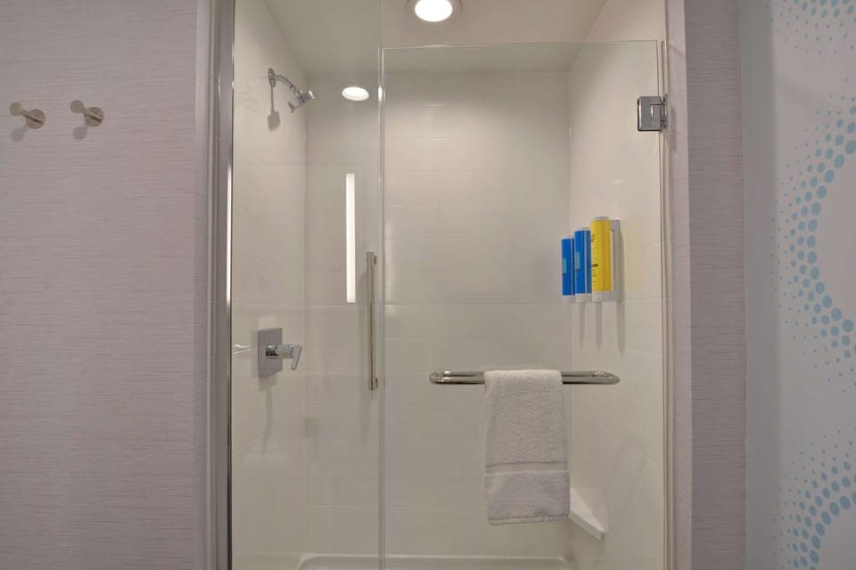 Hair dryer, towels, soap, shampoo