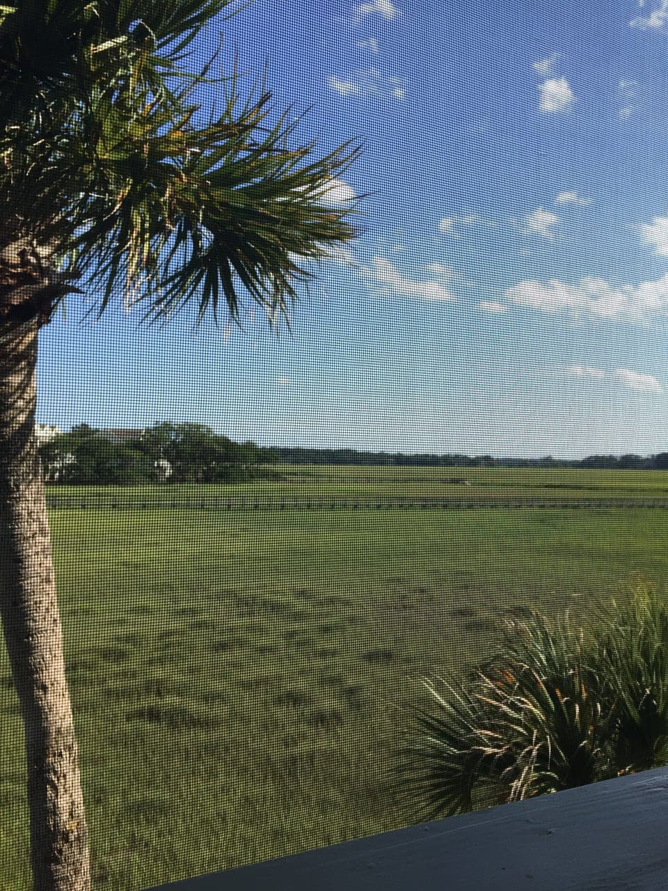 View from porch