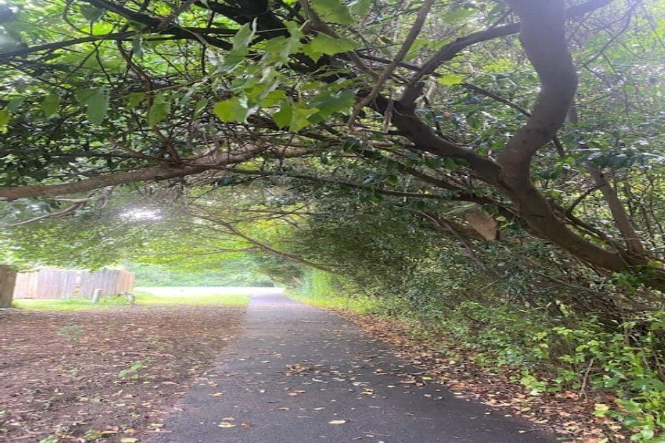 Paved Walking Trail 