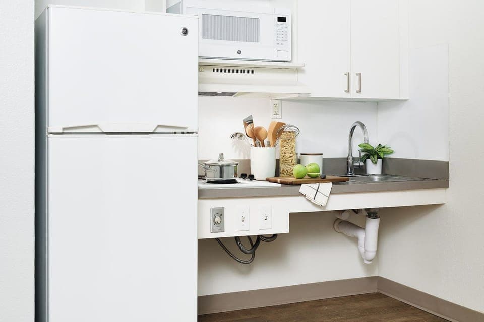 Fridge, microwave, stovetop, freezer