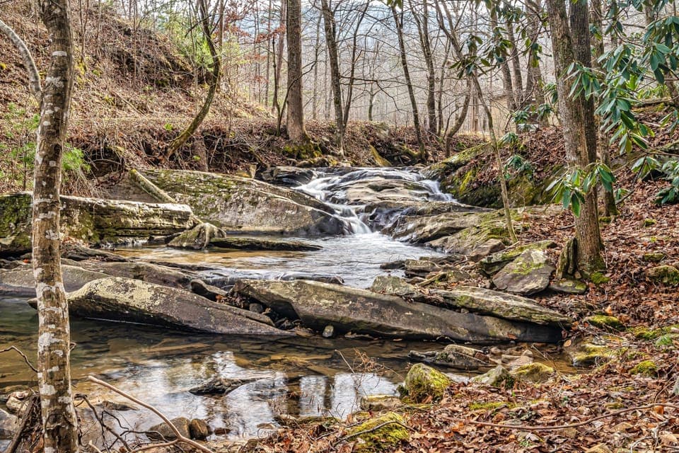 Creek 