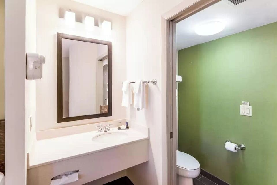 Shower, free toiletries, hair dryer, towels