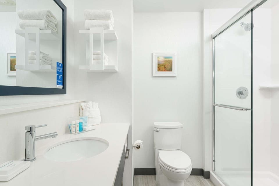 Bathroom shower