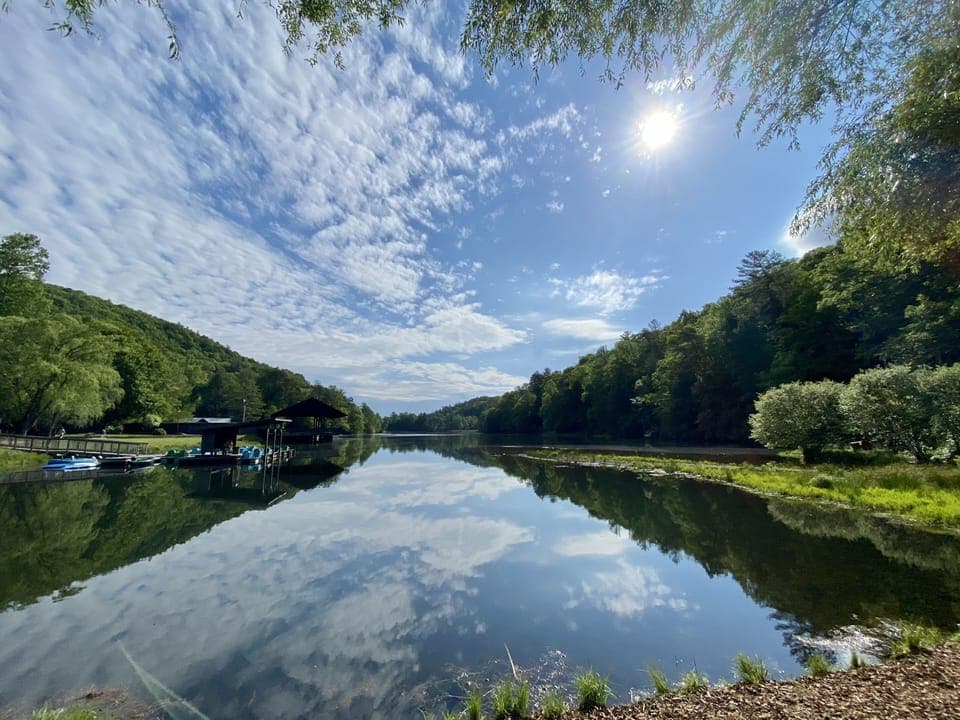 Vogel State Park 