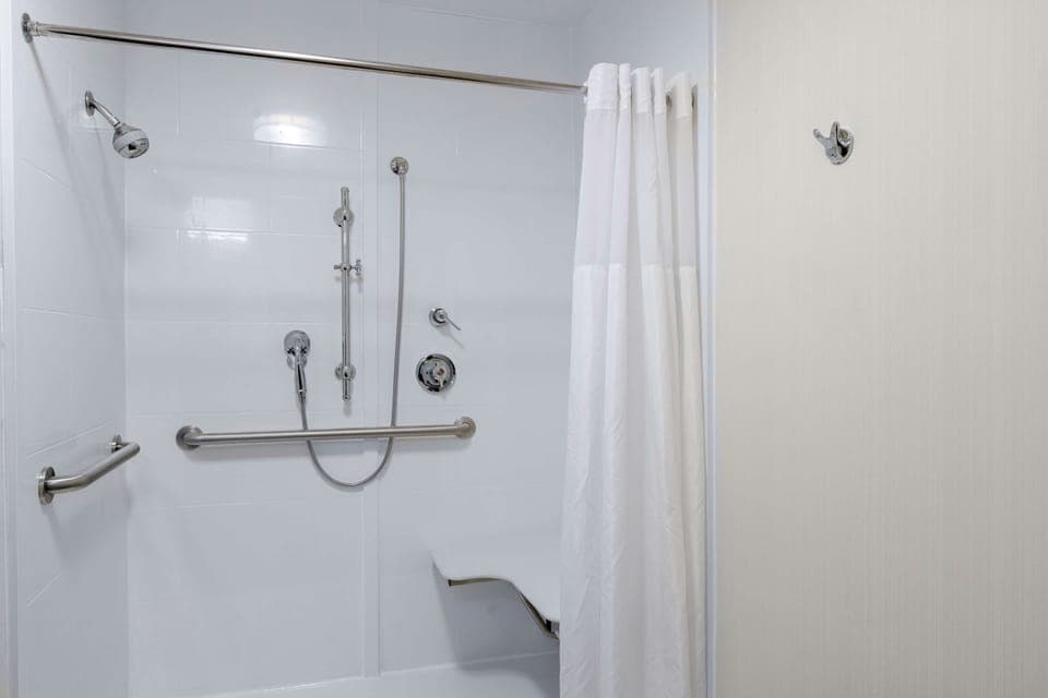 Room, 1 King Bed, Accessible, Non Smoking (Roll-in Shower) | Bathroom shower