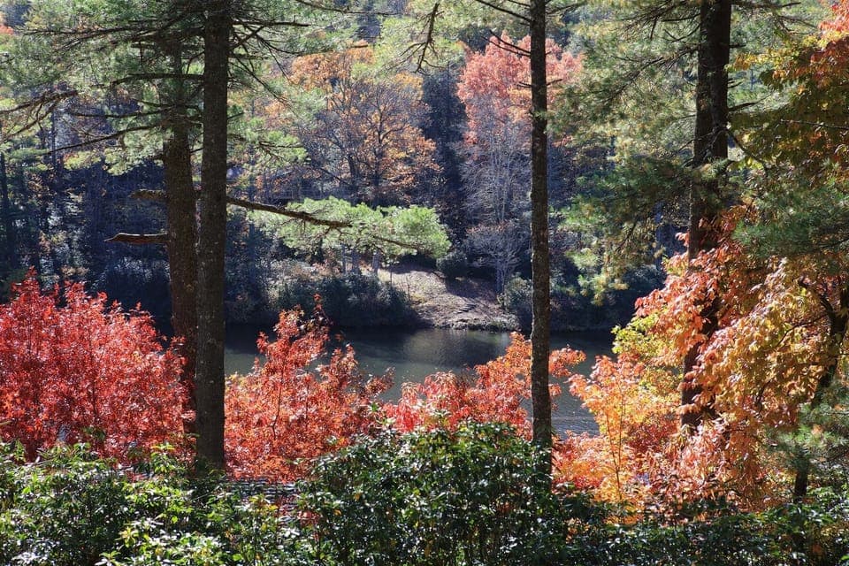 Lake View
