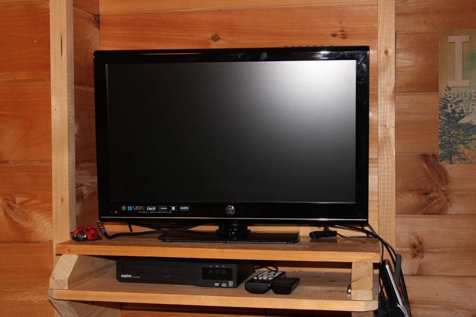 Television