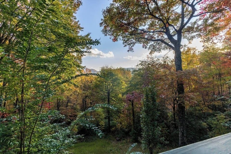 View from property