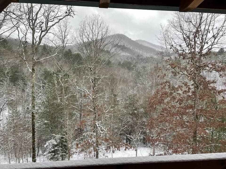 Winter View