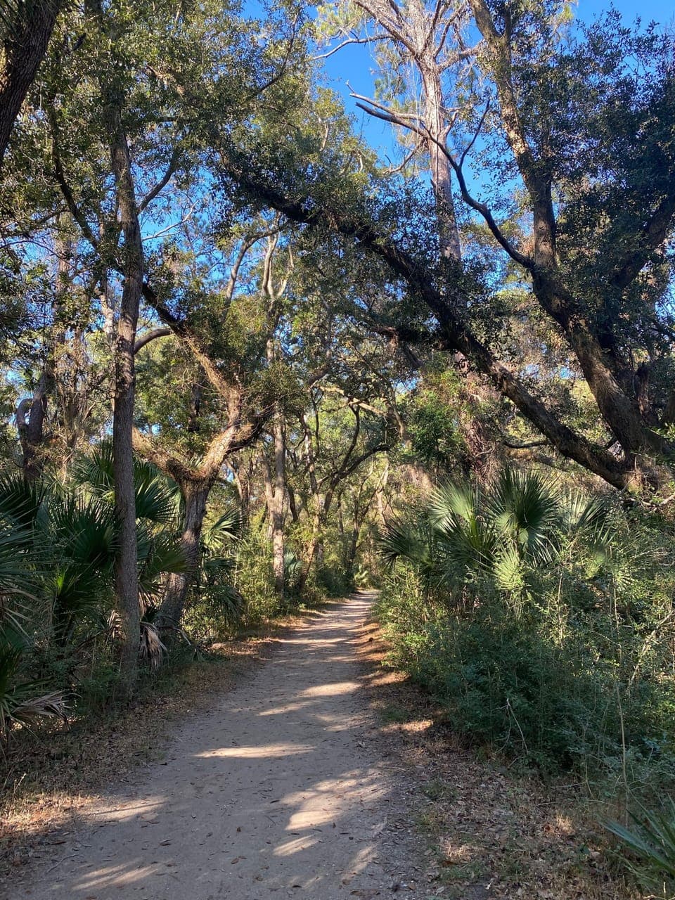 Nearby gorgeous hiking trails part of state park