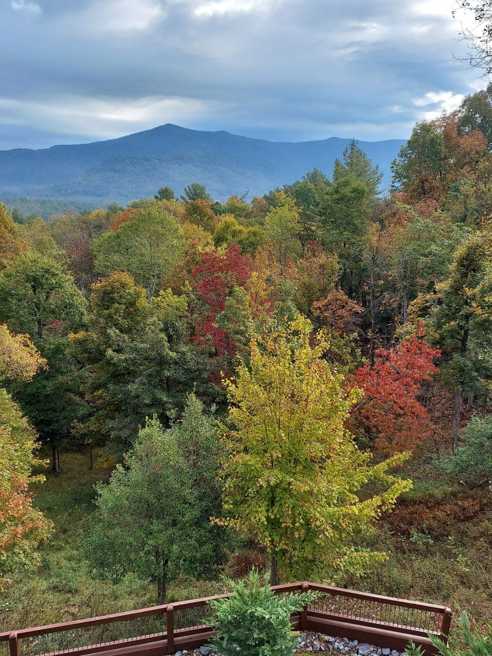 Fall view