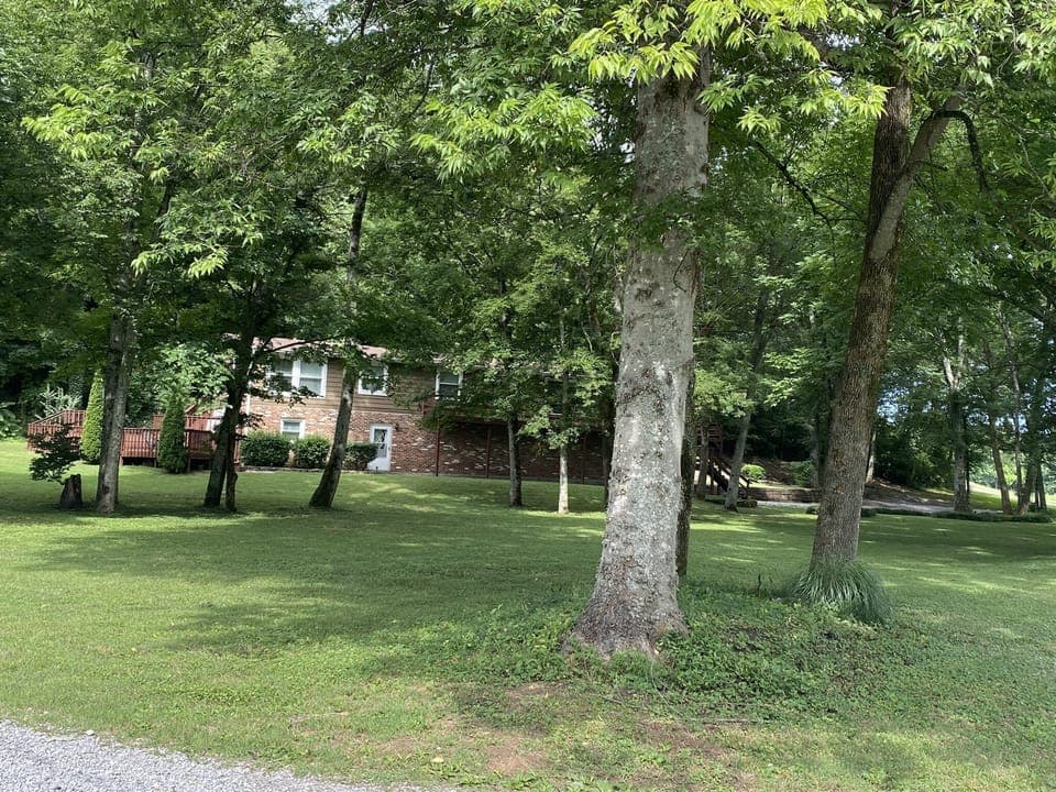 Park like setting 