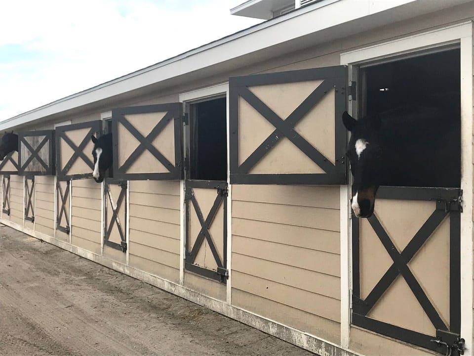 The Seabrook Island Equestrian Center offers unique beach rides. It's the most scenic way to explore the island's coastline and marshlands.