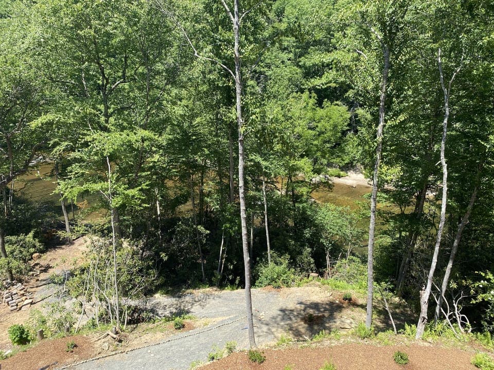 View from deck