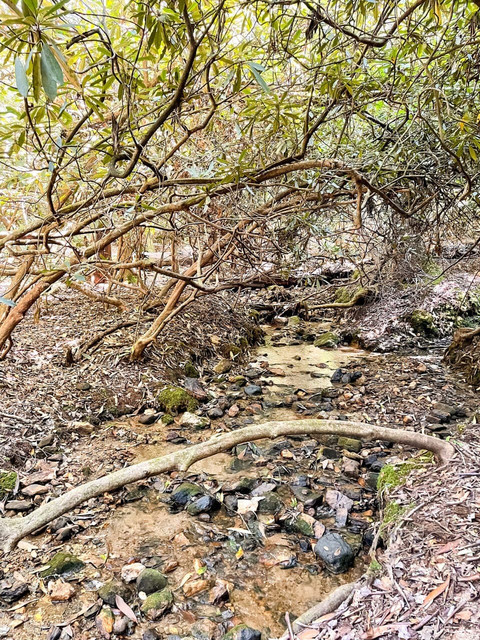Creek 