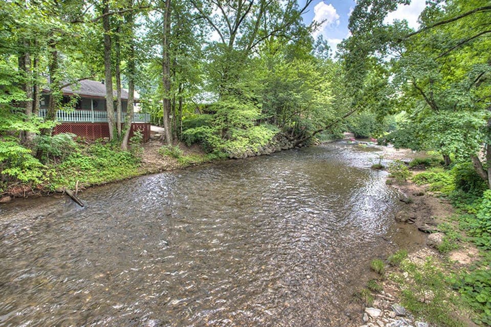 View of River Song from across the river