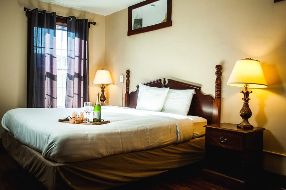 Deluxe Room | Individually furnished, iron/ironing board, free WiFi