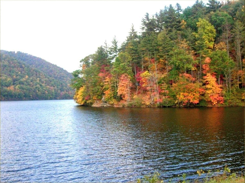 Lake Logan