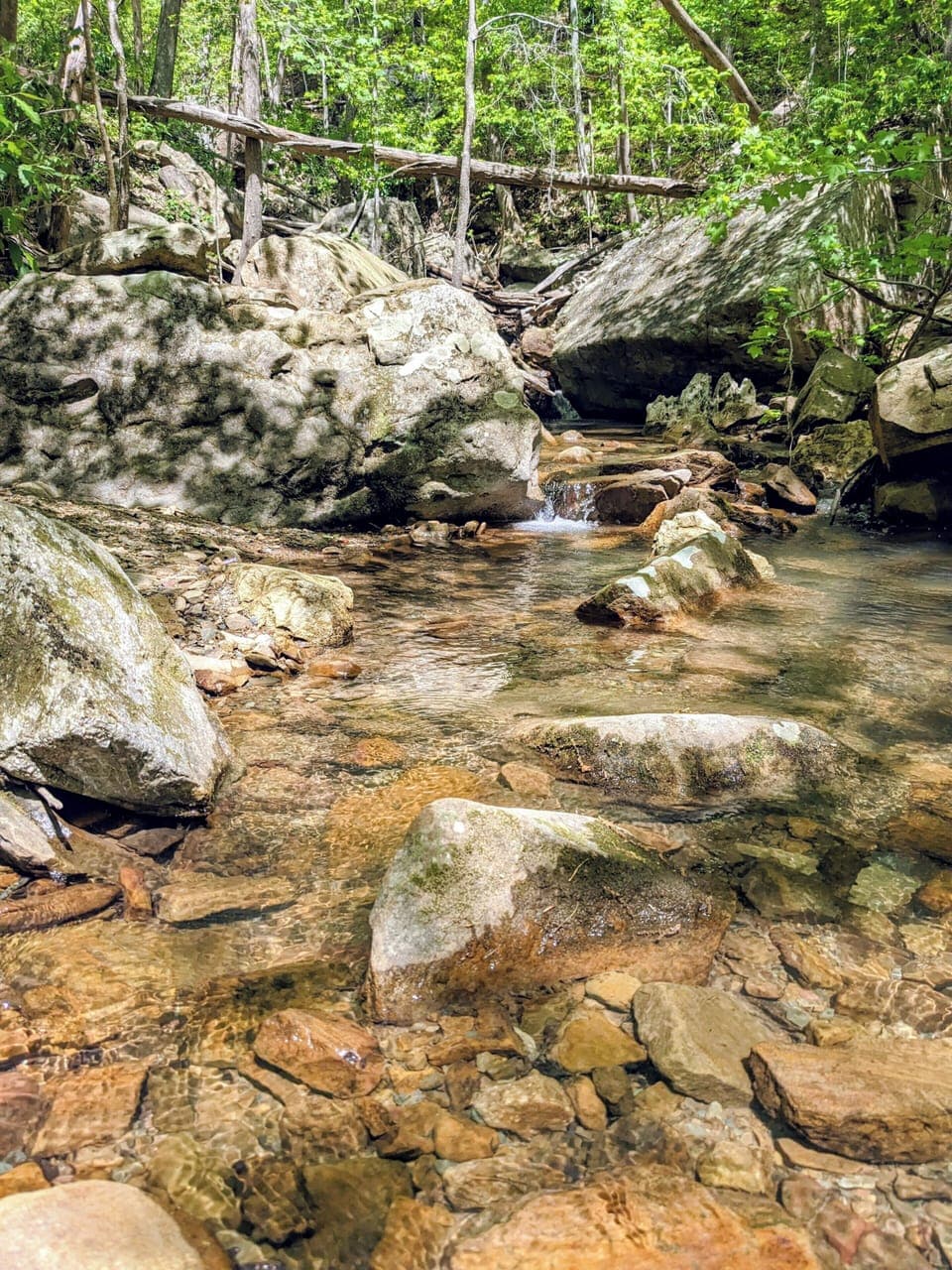 Sulphur Branch Creek runs along our property - levels depend on recent rainfall